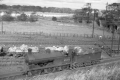 images/thumbs/Pic1426.gif